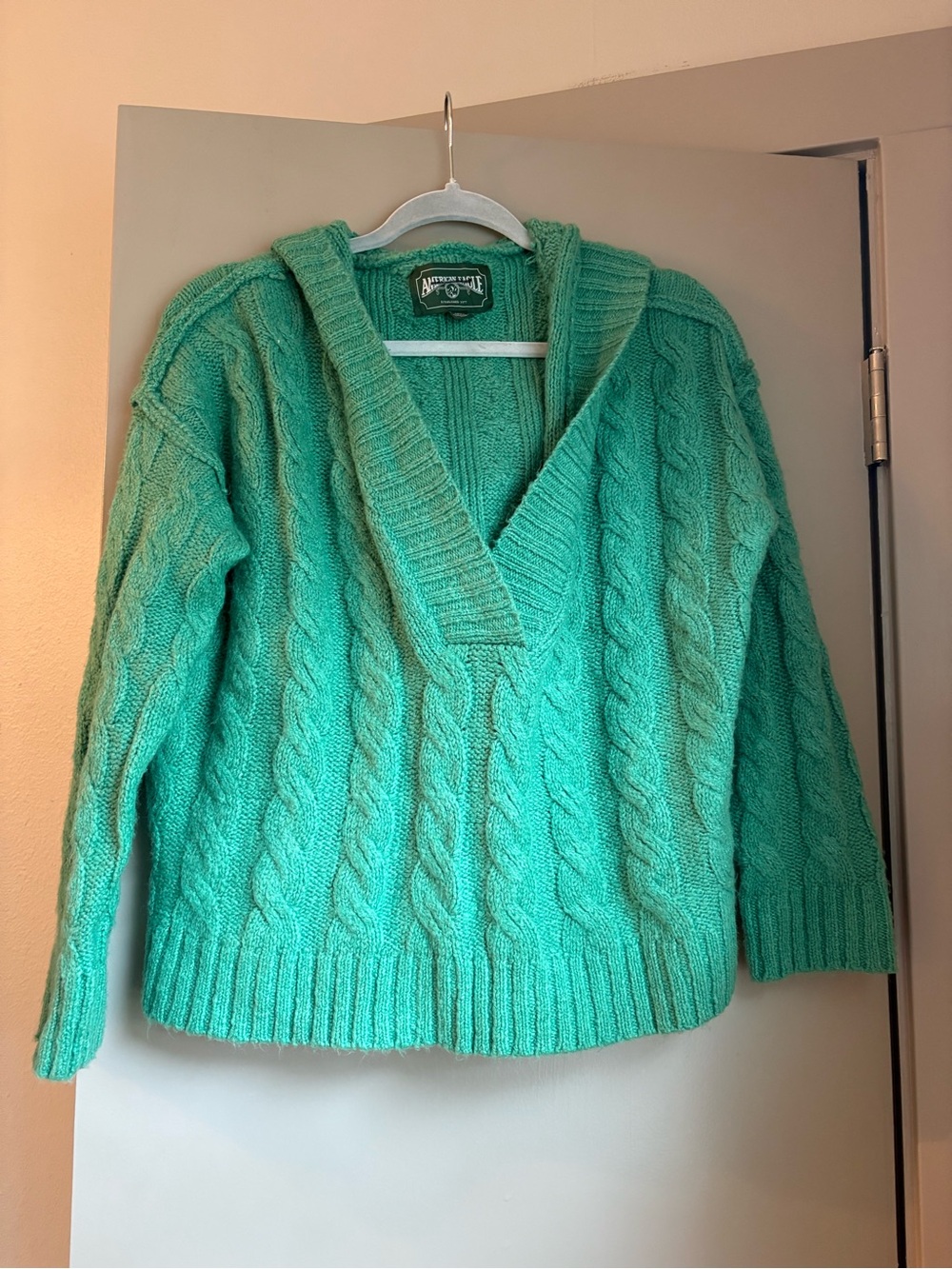 American Eagle Cable Knit Hooded Sweater in Green Small
